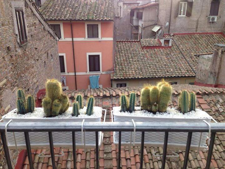 דירות רומא Campo Dei Fiori Funny Flat מראה חיצוני תמונה